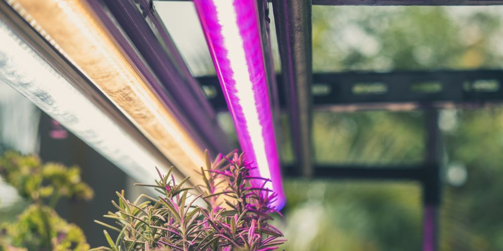 RevolveLED’s Collection and LED Lights Uses