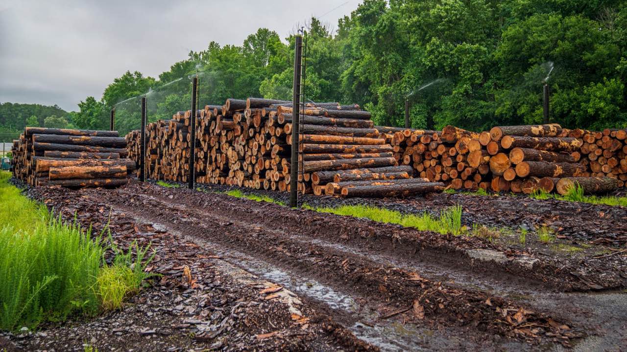 The Debarker Wear Parts That Affect Bark Removal Quality More Than the Tips Do